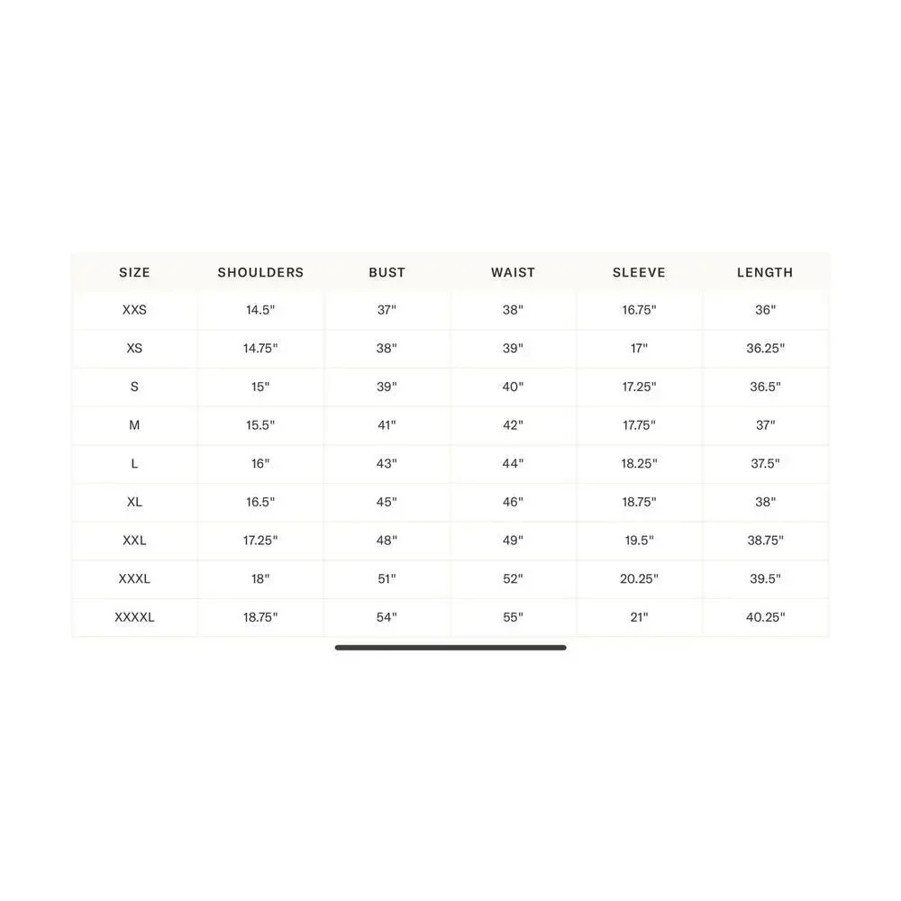 TUCKERNUCK Blue Stripe Royal Shirt Dress Size S NWT Retail $148 Tuckernuck - Picture 3 of 6